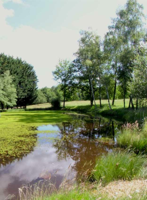 Вілла Domaine Des Grandes Landes Saint-Paul-la-Roche Екстер'єр фото
